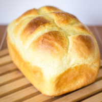 Pão brioche sem glúten 